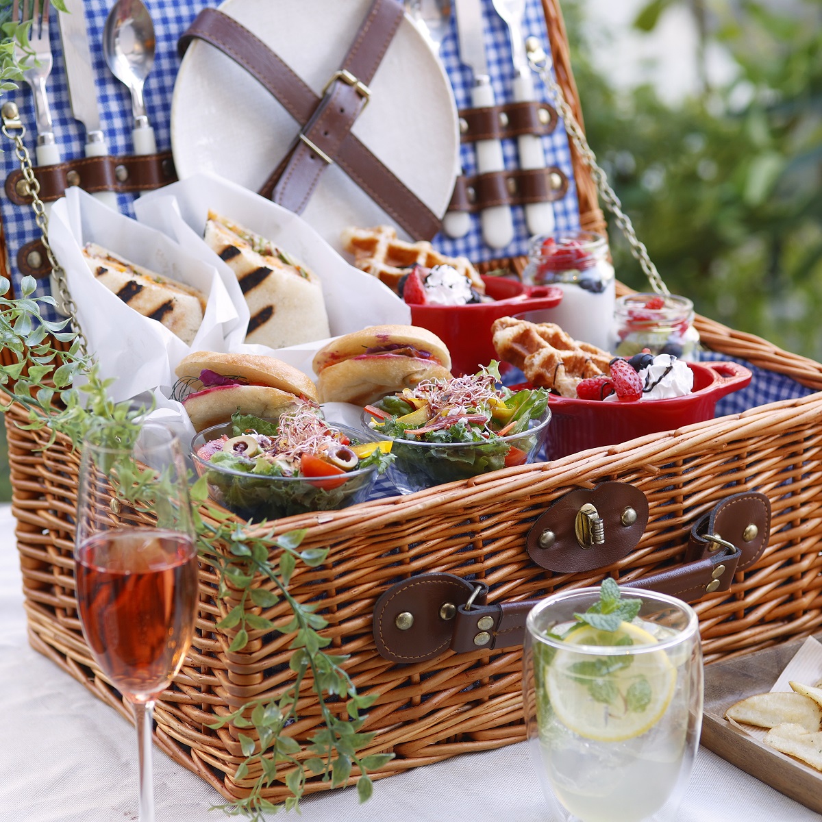 Cafe-Dining-ZelkovA_picnic-
